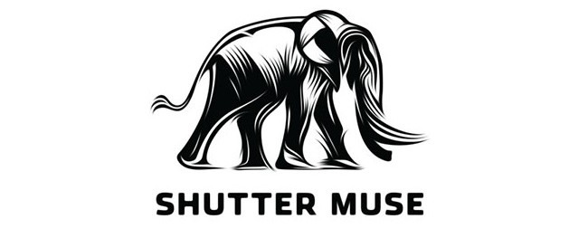 Shutter Muse logó design