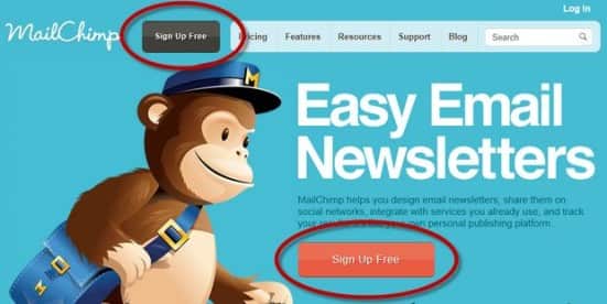 Call To Action mailchimp