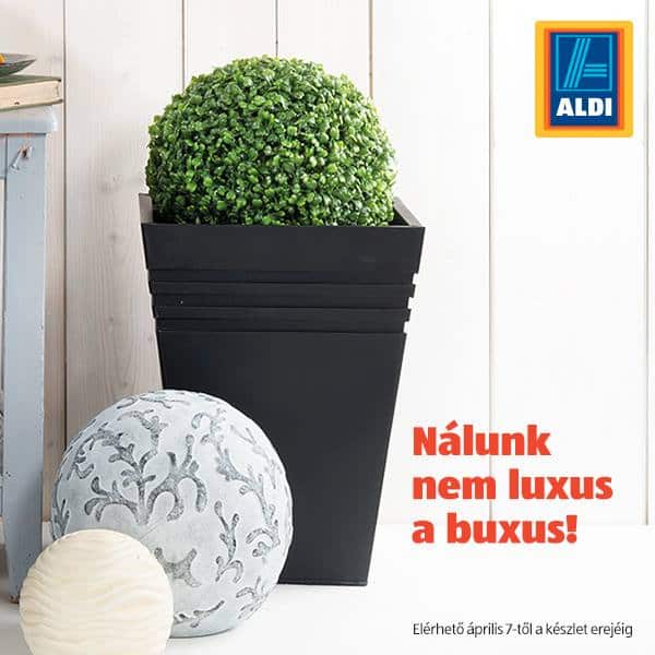 aldi design tipp 2