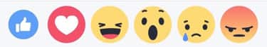 facebook live videó